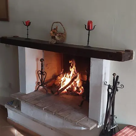 Apartment House Of Leaves *